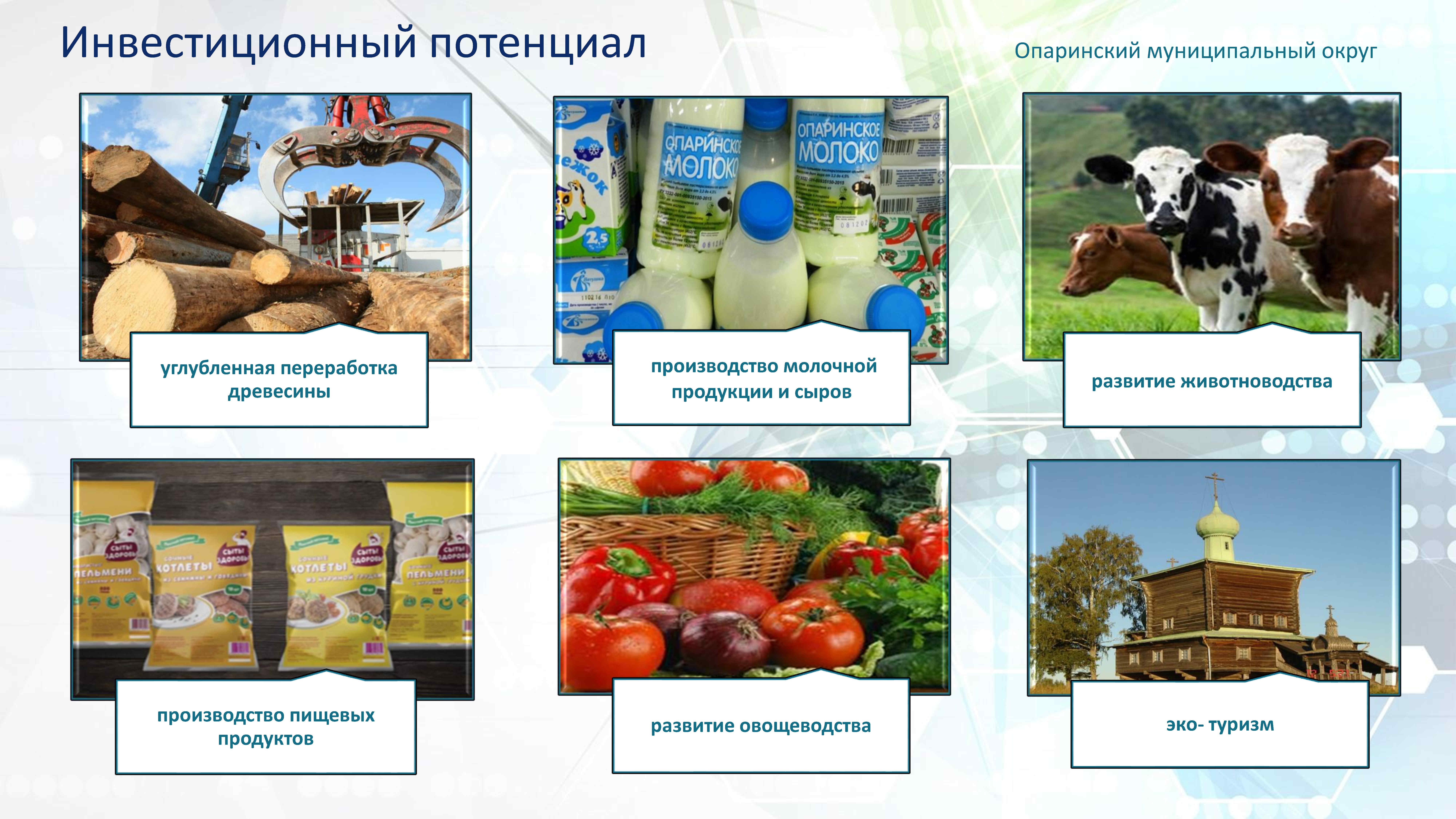 Инвестиционная привлекательность презентация.