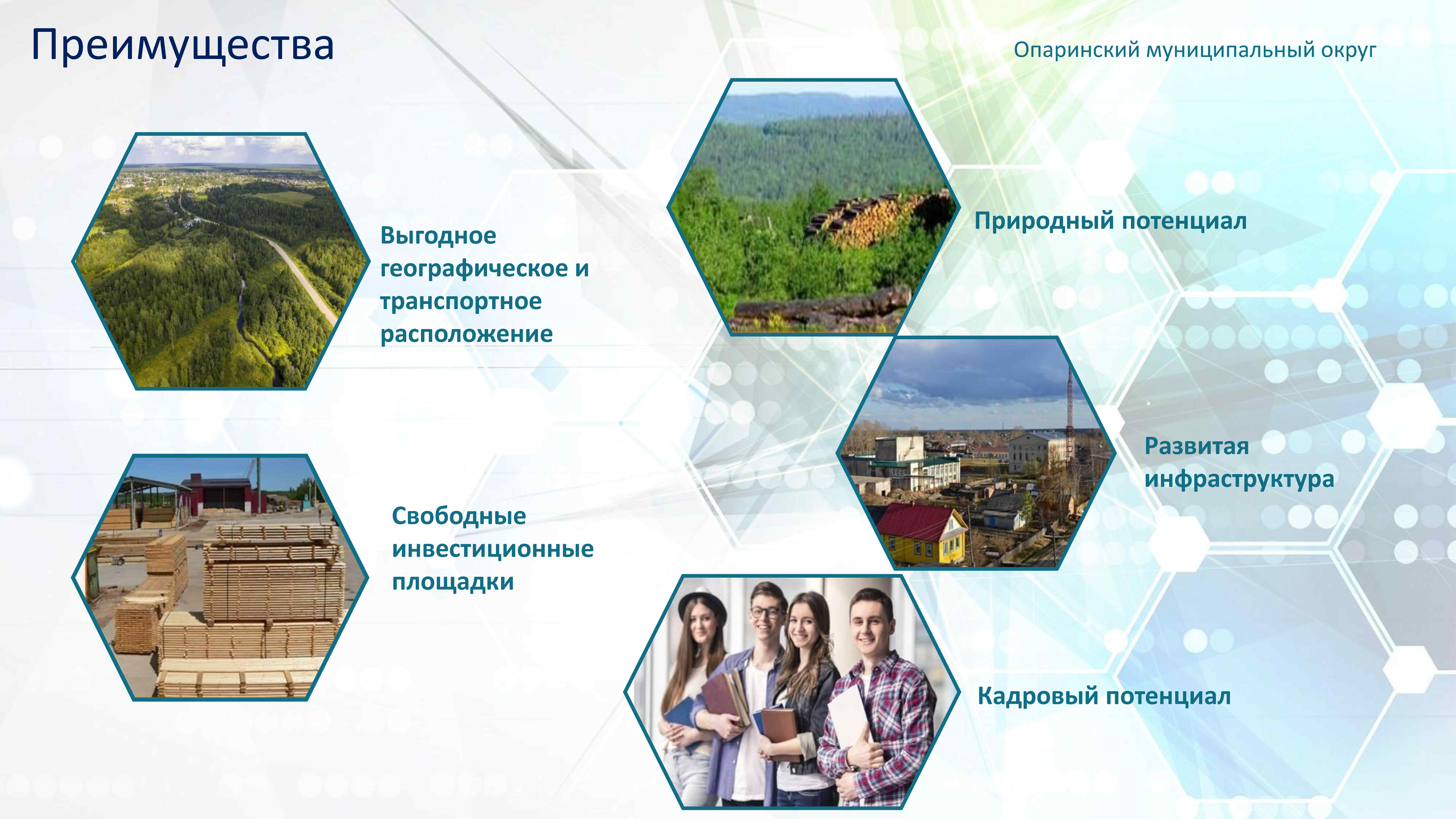 Инвестиционная привлекательность презентация.