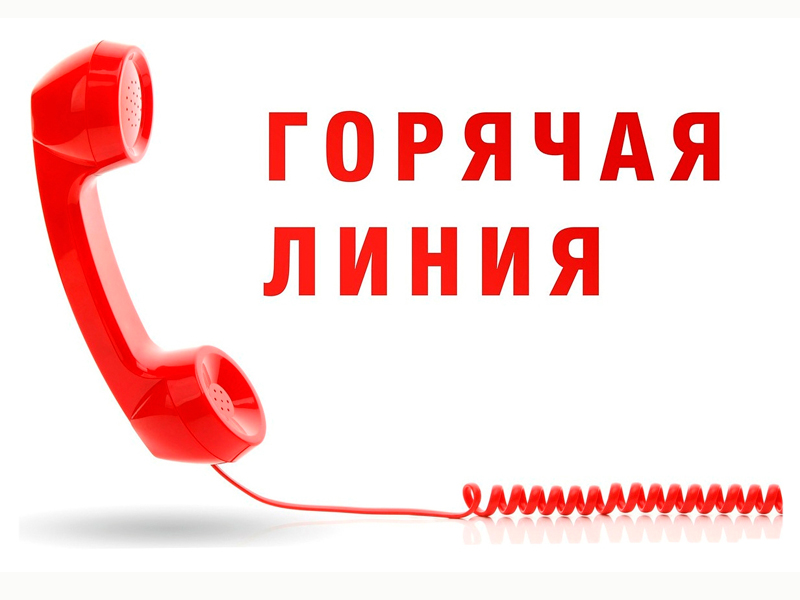 &amp;quot;горячая линия&amp;quot; по вопросам профилактики клещевого энцефалита.