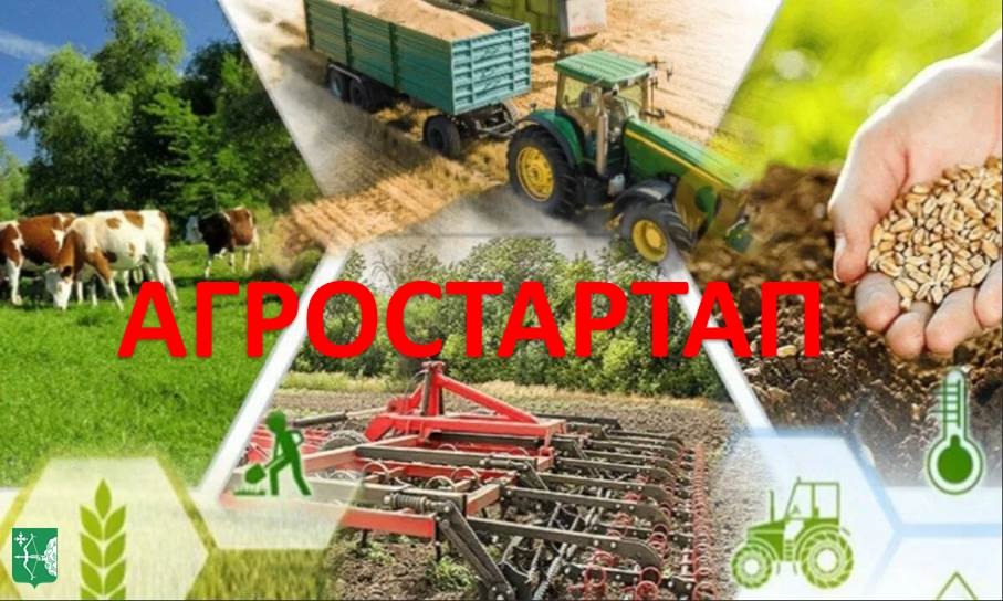 Конкурсный отбор среди крестьянских (фермерских) хозяйств.